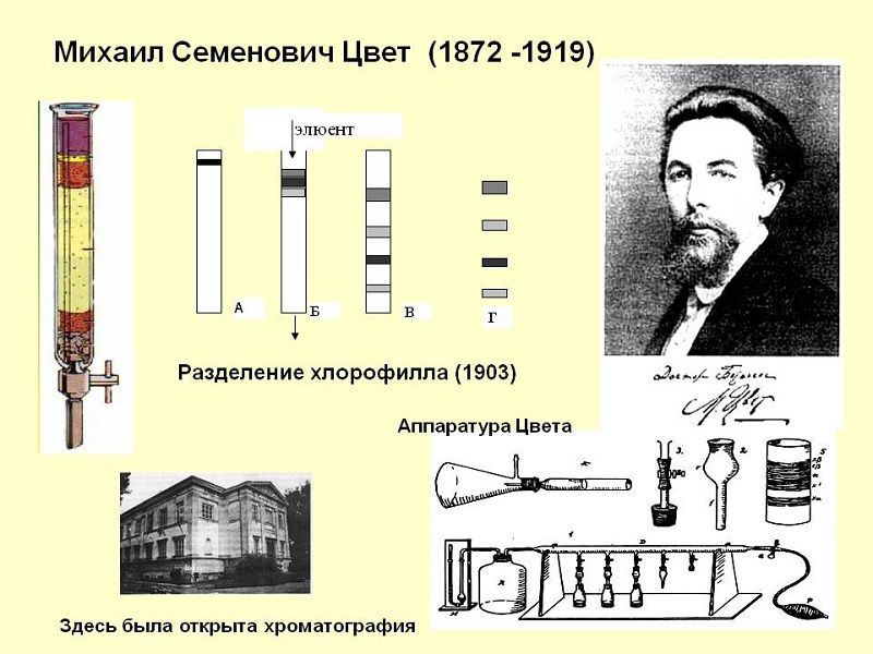 История возникновения хроматографических исследований