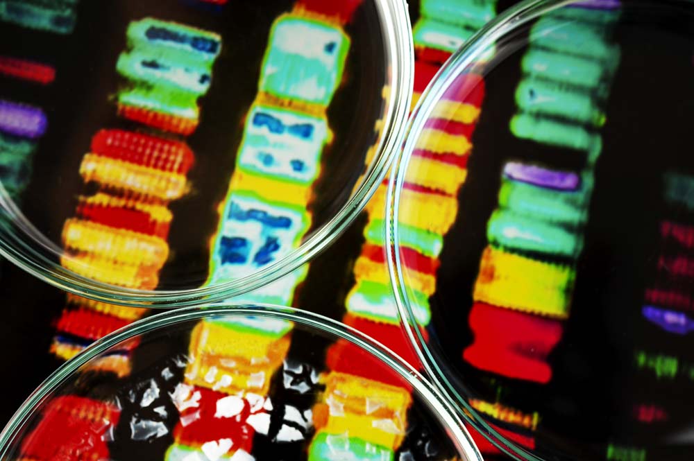 Спектральный анализ