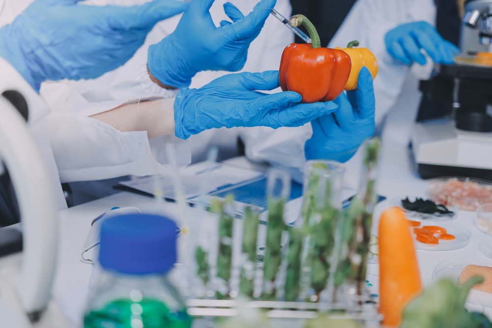 Процедура QuEChERS