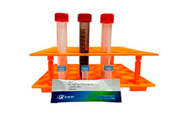 Набор для ТФЭ пестицидов из фруктов и овощей слабоокрашенных или с высоким содержанием каротиноидов или хлорофилла по методу EN 15662, 25 шт. SBEQ-CA8536-25