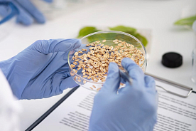 Определение качественных показателей в пшенице с помощью БИК-анализатора SUPNIR 2750 производства компании FPI (FOCUSED PHOTONIC INC.)