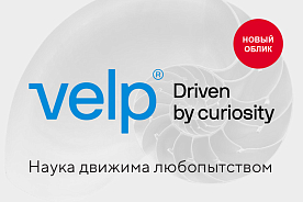 Всё ещё VELP, но уже обновлённый