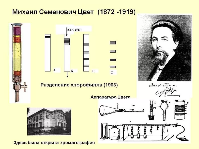 Хроматография — определение, история и методы | статьи Millab Group