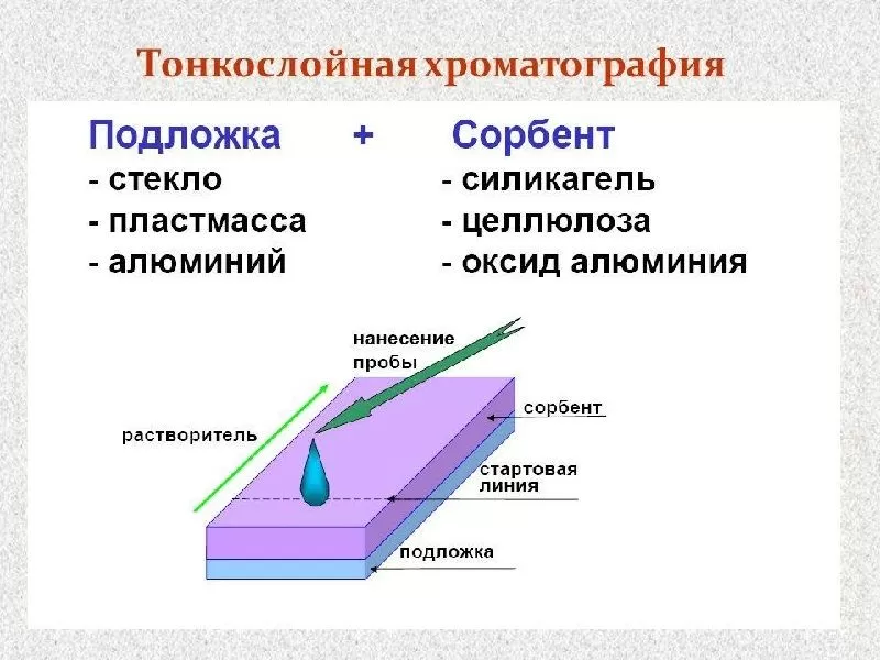 Хроматография — определение, история и методы | статьи Millab Group